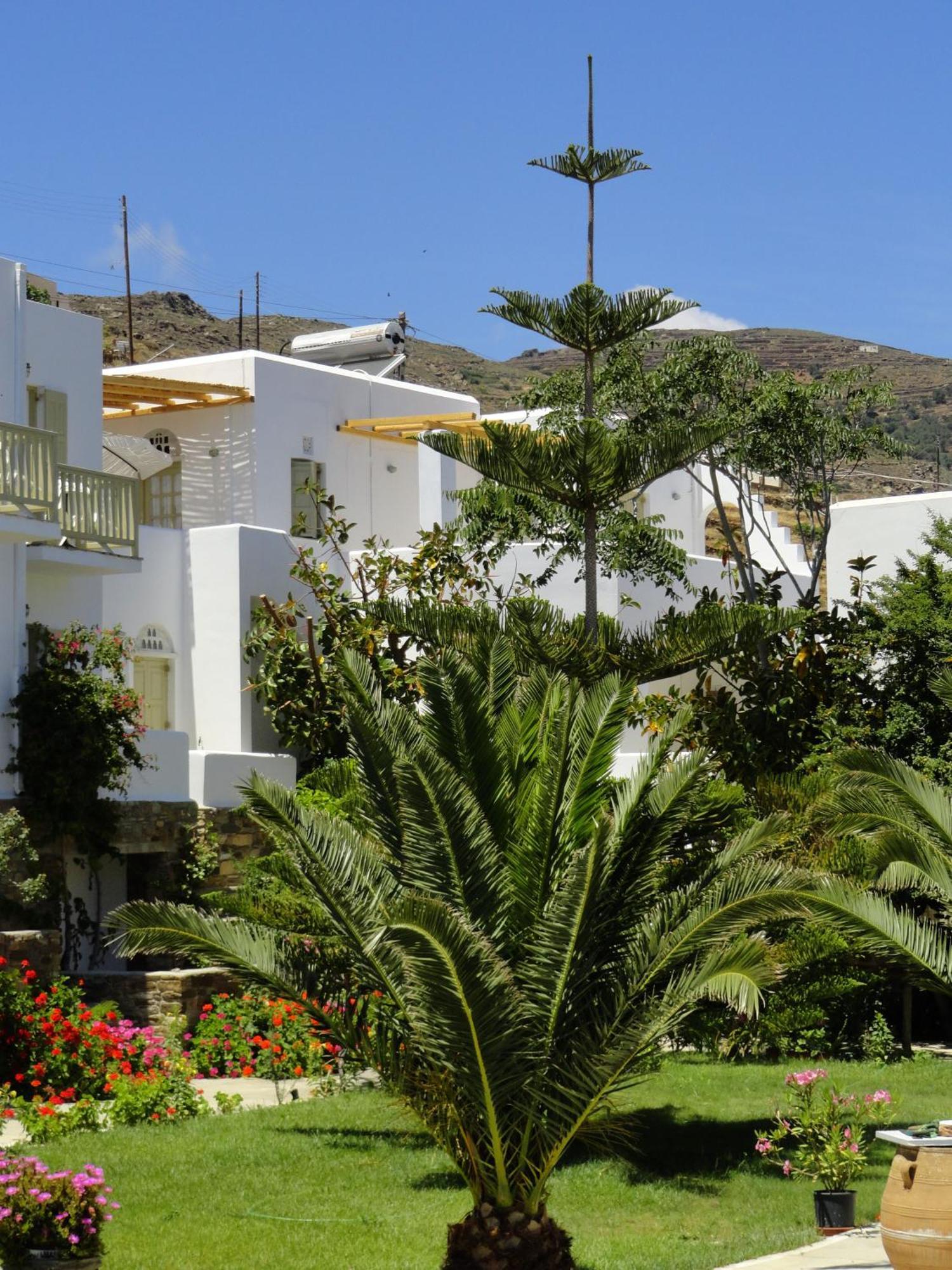 Vidalis Hotel Kionia Extérieur photo